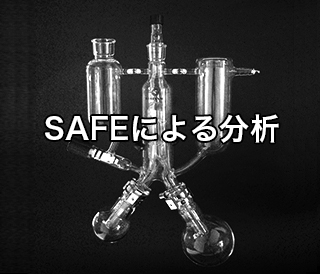 SAFEによる分析(4)